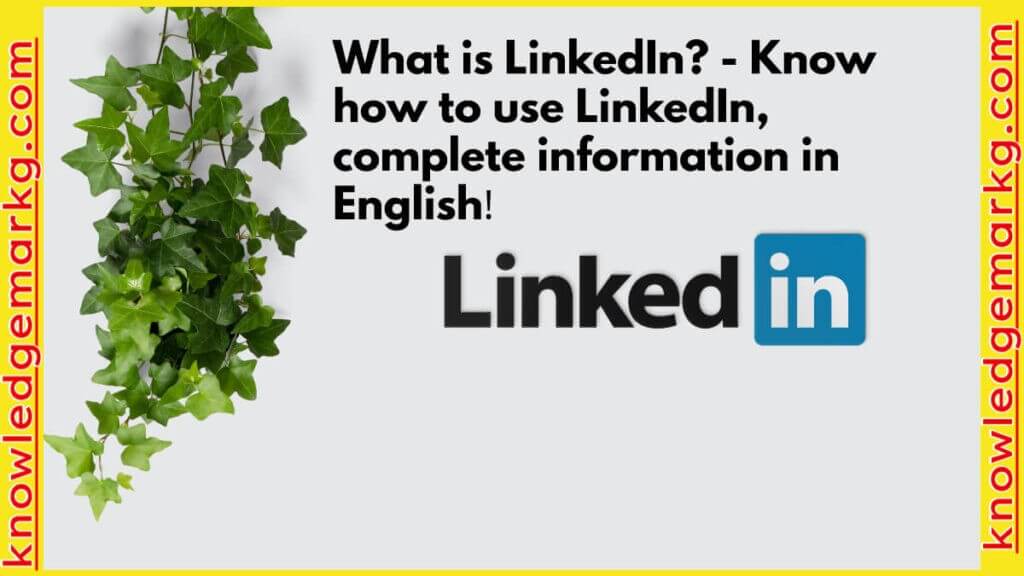 What is Linkedin